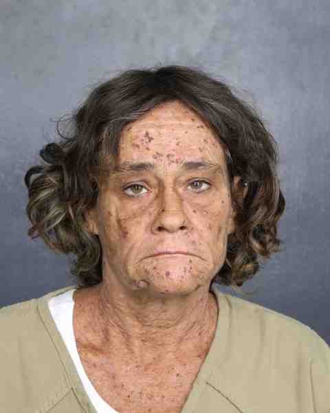 Booking photo for JARVIS, SHERRY