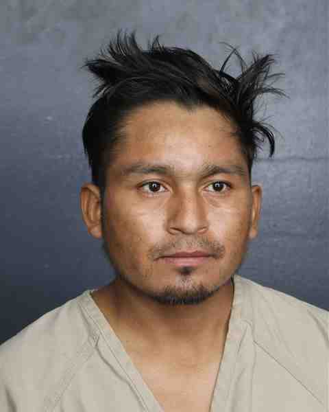 Booking photo for MENDEZ SANCHEZ, WILMAR
