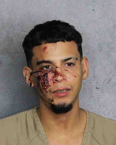 Booking photo for CASTELLON, WAYNE