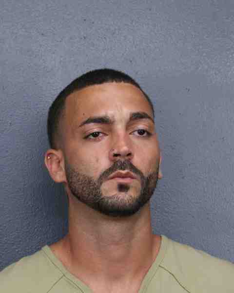 Booking photo for BROWN ALICEA, BRYAN