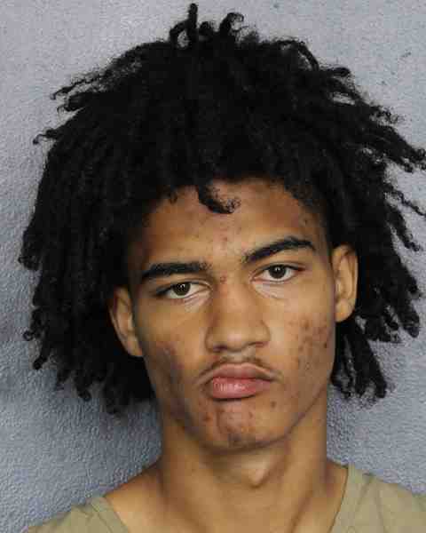 Booking photo for WILLIAMS SHEPARD, JORDAN