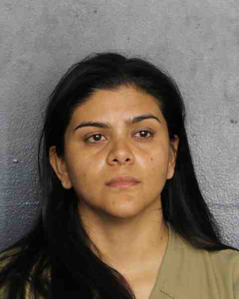 Booking photo for GONZALEZ SANCHEZ, EVELYN
