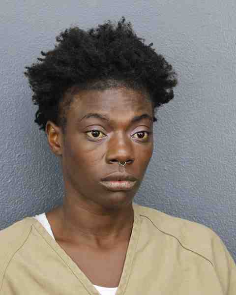 Booking photo for ERMAT, WIDELENE