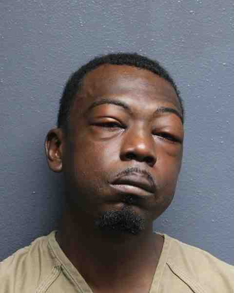 Booking photo for LOUISA, SANDY