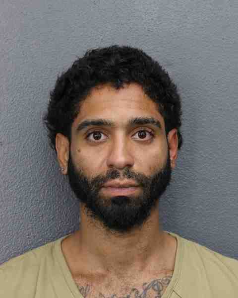 Booking photo for BERROA BAEZ, DANIEL