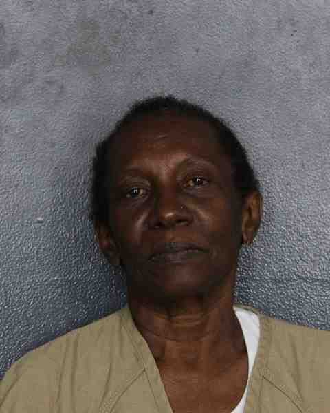 Booking photo for BRAY, DIANNE