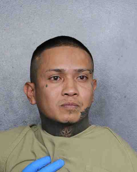Booking photo for HERNANDEZ, SEBASTIAN