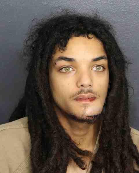 Booking photo for PULIDO, KELVIN