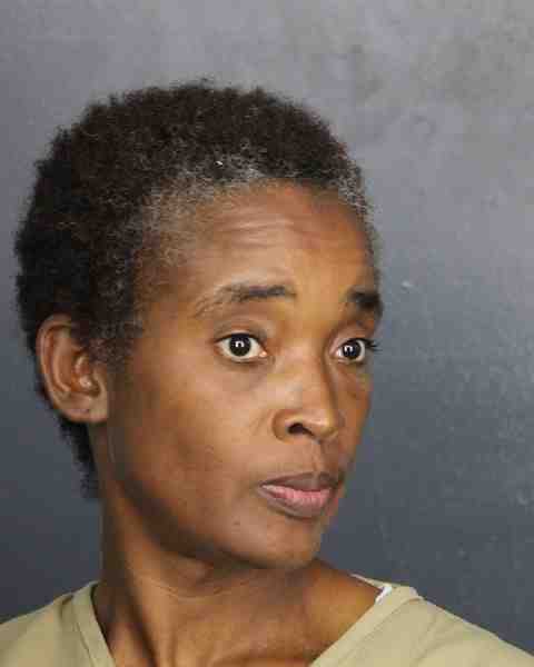 Booking photo for EDDINS, TERRI