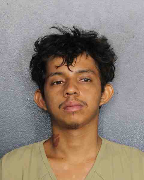 Booking photo for FIGUEROA MARTINEZ, ERICK