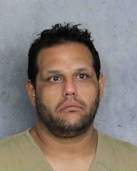 Booking photo for DANOVICH , HENRY