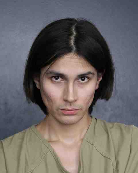 Booking photo for YOUNGBLOOD, EVERETT
