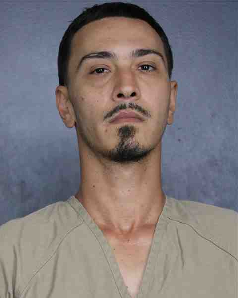 Booking photo for NICOLAE, GEORGE