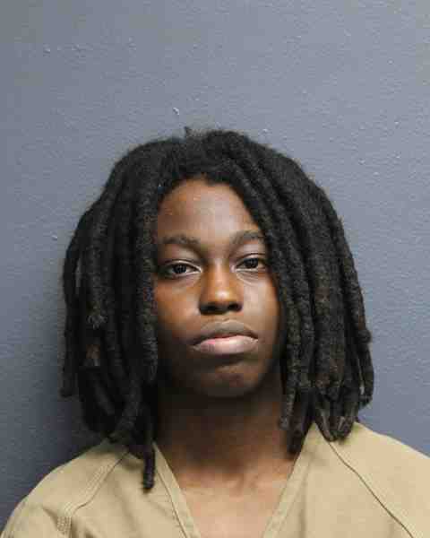 Booking photo for BROWN, JANIYAH