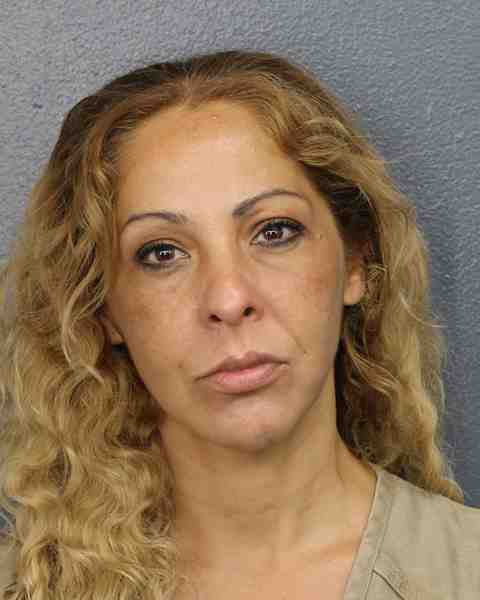 Booking photo for VALLIN, NATALIE