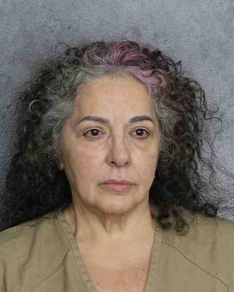 Booking photo for MCNALLY, DENISE