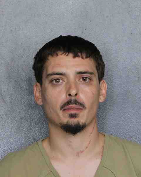 Booking photo for FLORES, JOSUE