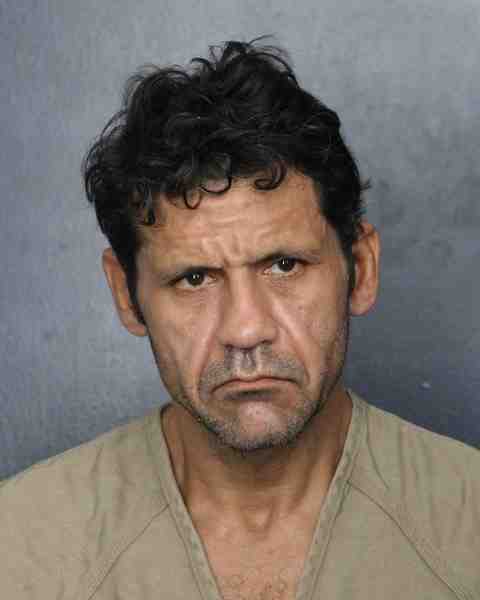 Booking photo for BINGHAM, ANDREW