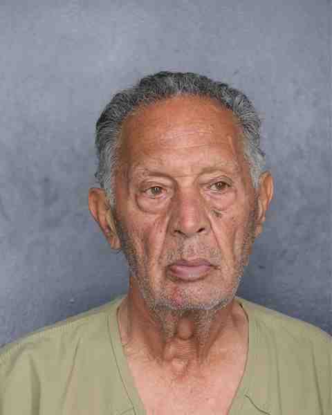 Booking photo for SHIRDEL, MOHSEN