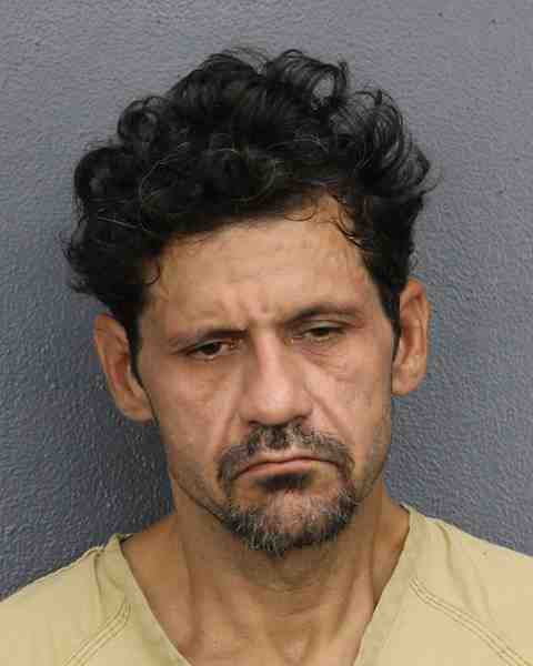 Booking photo for BINGHAM, ANDREW