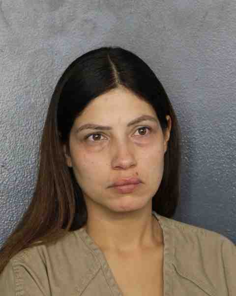 Booking photo for FERREIRA, AMY