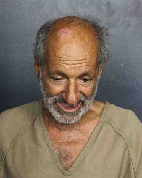 Booking photo for DELVECCHIO, LOUIS