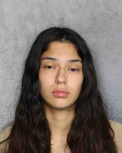 Booking photo for POKORNY, STORM