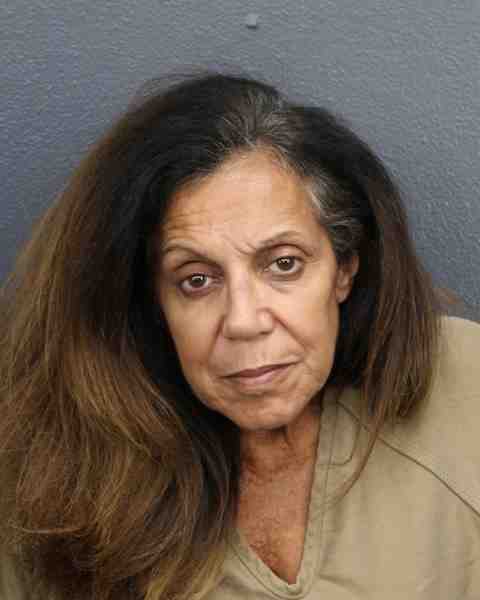 Booking photo for BOVE, LYNN